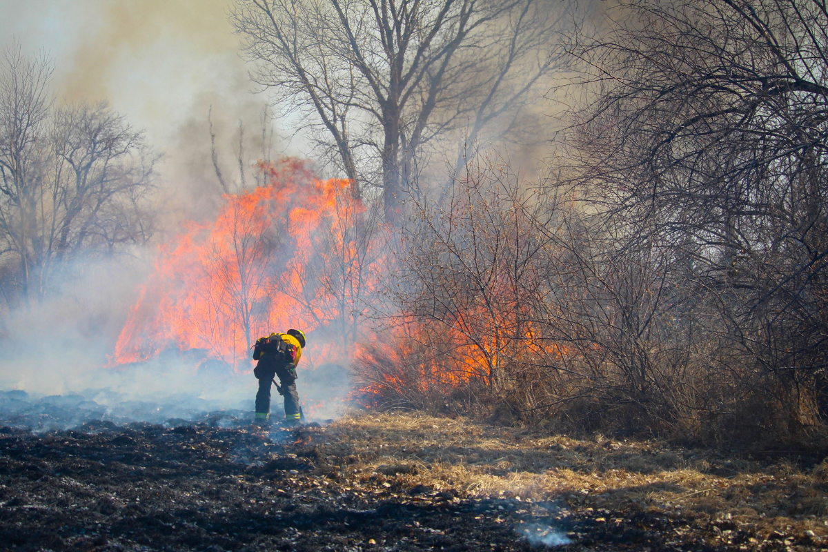 How to Keep Cooking When the Forest Service Cancels Your Campfire